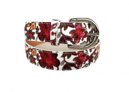 Women Belt